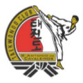 9.º Workshop de Taekwondo