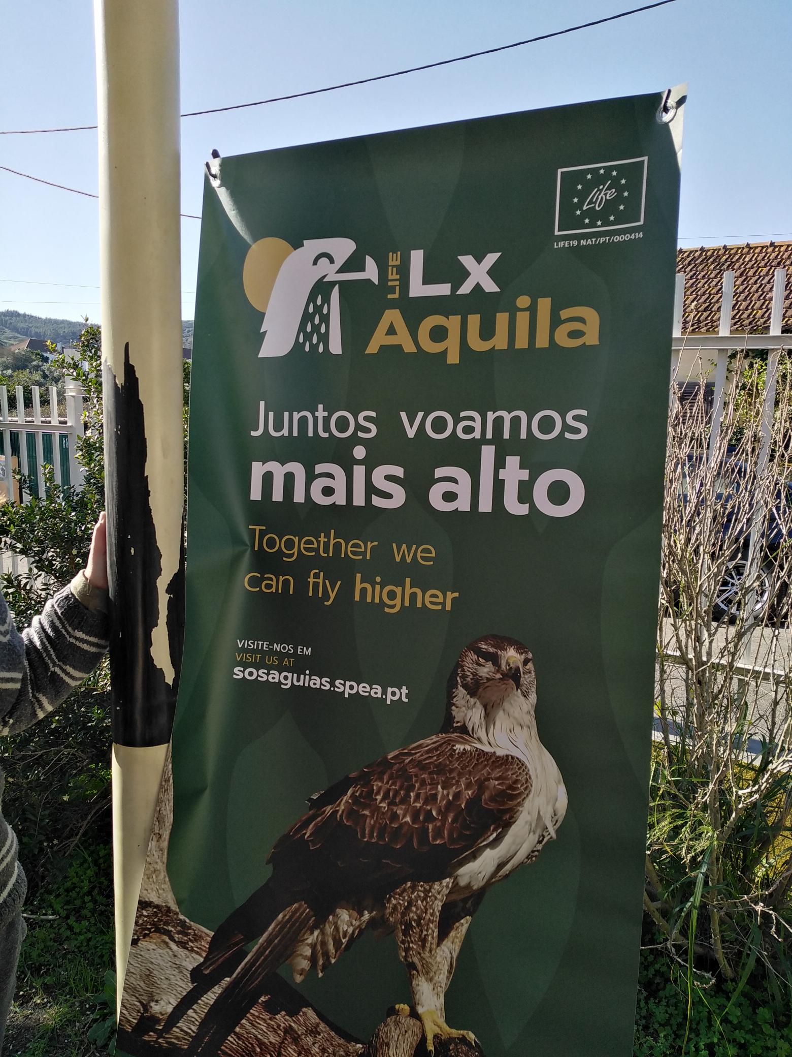 aguias e nos - Foto 1